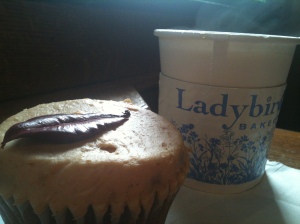 Pumpkin Cupcake,  Ladybird Bakery